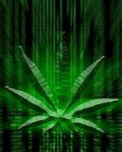 pic for Matrix Weed